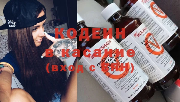 молекула духа Краснослободск