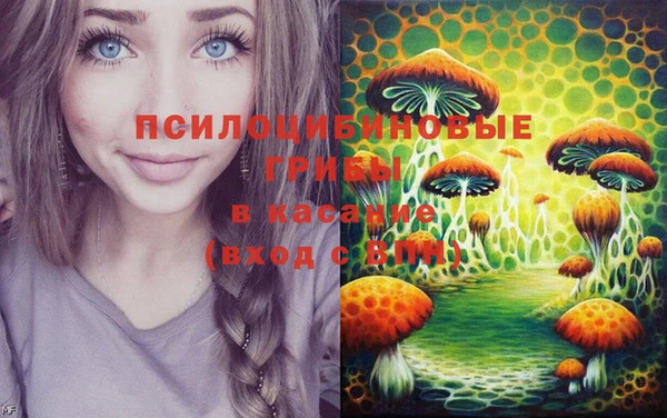 молекула духа Краснослободск