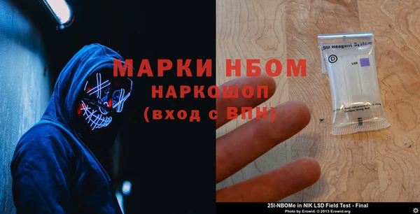 молекула духа Краснослободск