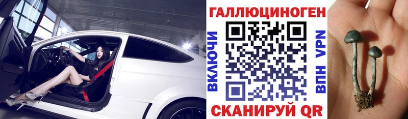 дарнет шоп Спас-Деменск Псилоцибиновые грибы прущие грибы